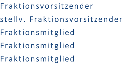 Fraktionsvorsitzender stellv. Fraktionsvorsitzender Fraktionsmitglied Fraktionsmitglied Fraktionsmitglied